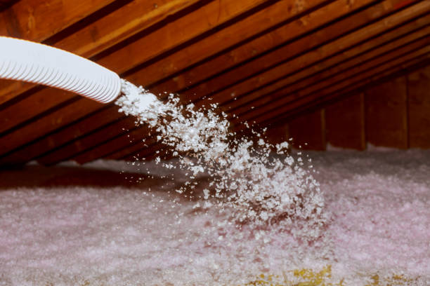 Best Insulation for New Construction  in Tainter Lake, WI