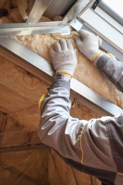 Best Insulation Contractor Near Me  in Tainter Lake, WI