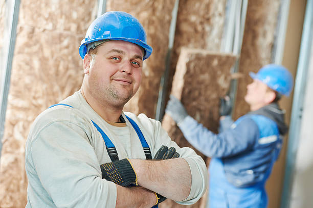 Best Local Insulation Services  in Tainter Lake, WI